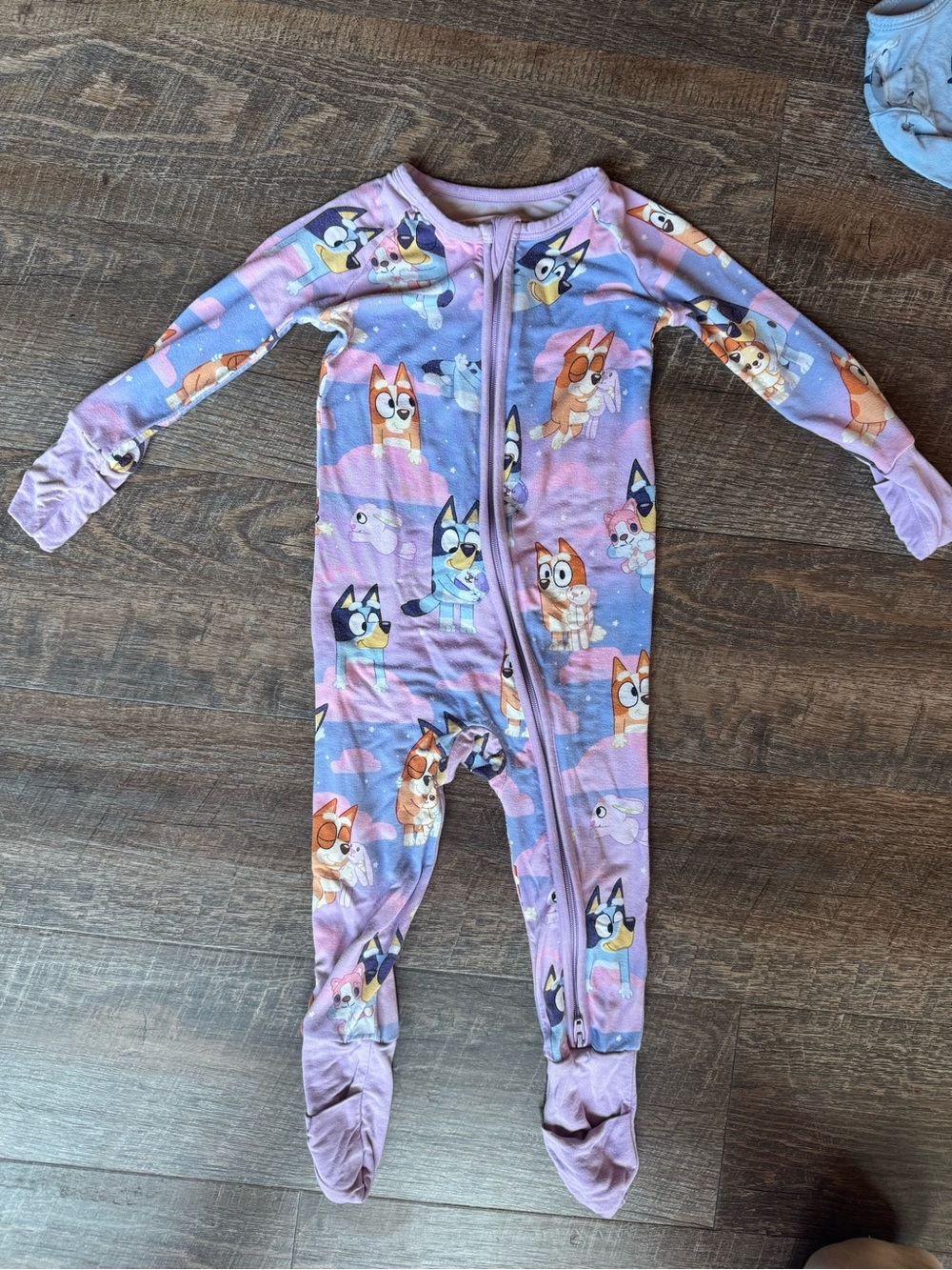 Bluey little sleepies 6-12 mo zippy